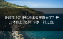 曼联那个新援的战术板被曝光了？开云体育上的分析专家一针见血。