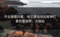 开云体育内幕：哈兰德进球后眼神盯着凯恩旧照，太尴尬